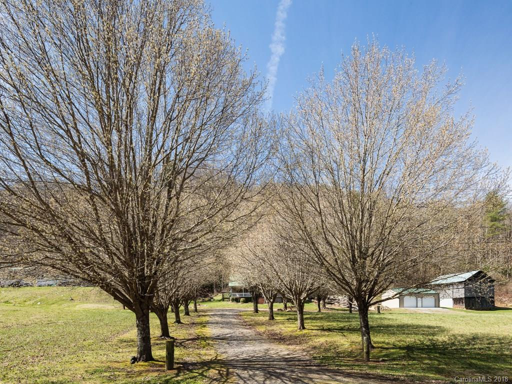 1295 Will Higgins Road - Photo 15