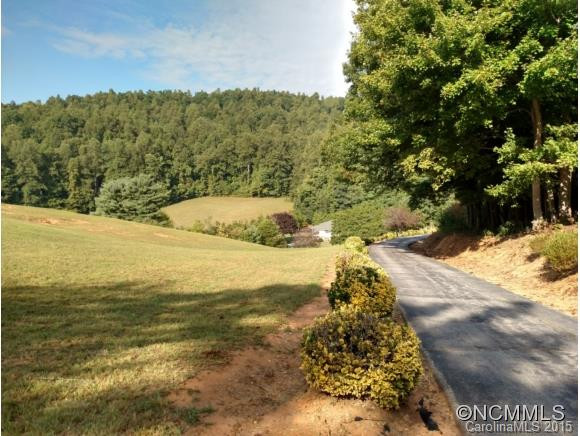 5995 Howard Gap Road - Photo 2