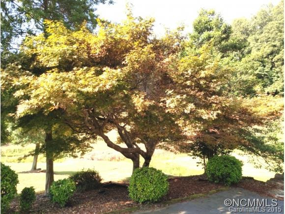 5995 Howard Gap Road - Photo 20