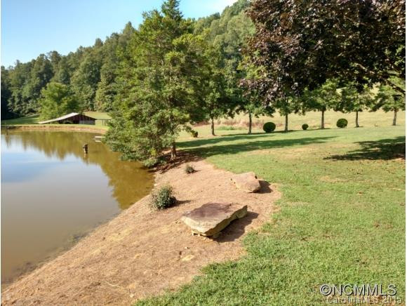 5995 Howard Gap Road - Photo 6