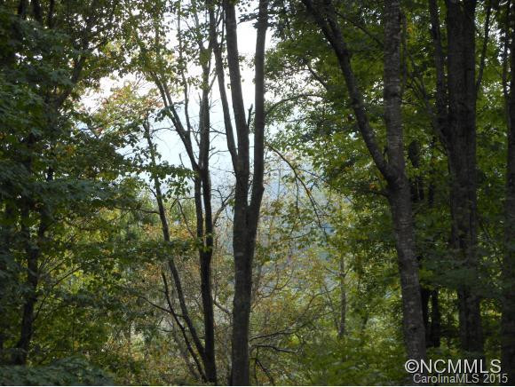25 Dawn Valley - Photo 19