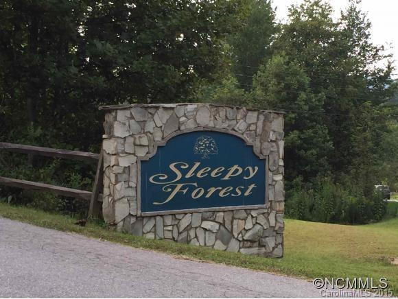115 Sleepy Forest Drive - Photo 14