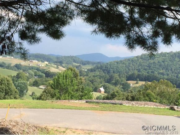 115 Sleepy Forest Drive - Photo 3