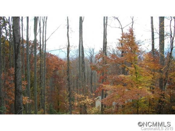 93 Luther Cove Road - Photo 11