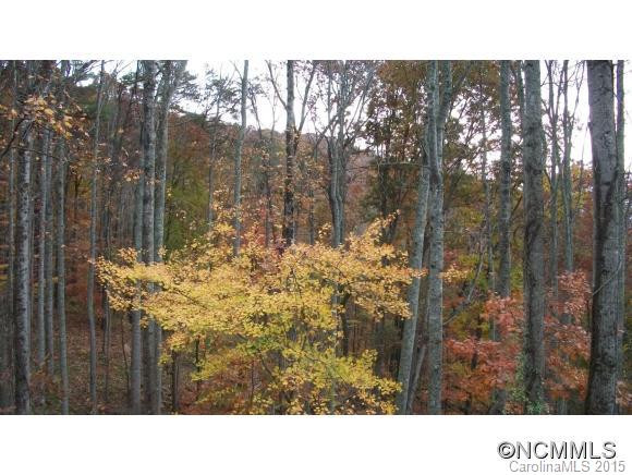 93 Luther Cove Road - Photo 12