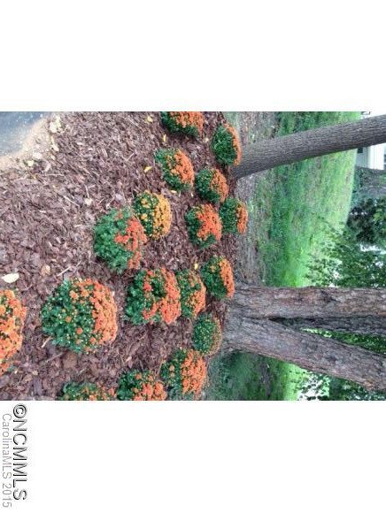 125 Reed Street - Photo 11