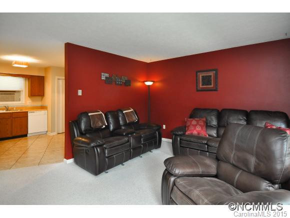 96 Blue Ridge Development Road - Photo 8