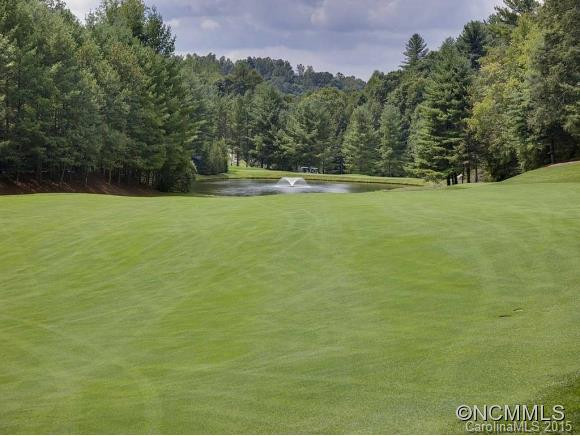 301 Pine Forest Trace - Photo 23