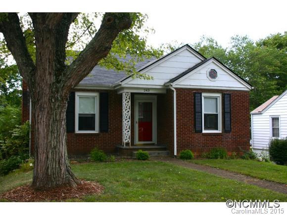 243 Brevard Road - Photo 2