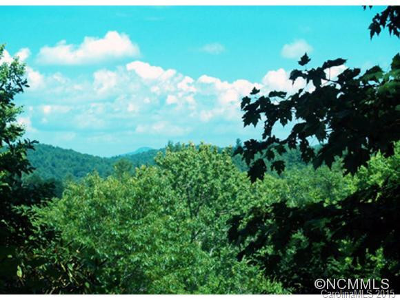 316 Little Elbow Mountain Road - Photo 2