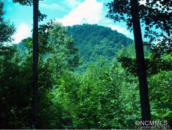 316 Little Elbow Mountain Road - Photo 21