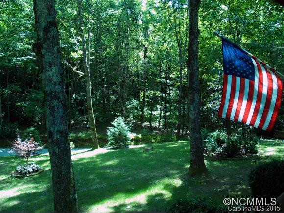 316 Little Elbow Mountain Road - Photo 4