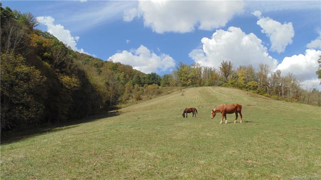 1094 Jarvis Branch Road #A, B - Photo 5