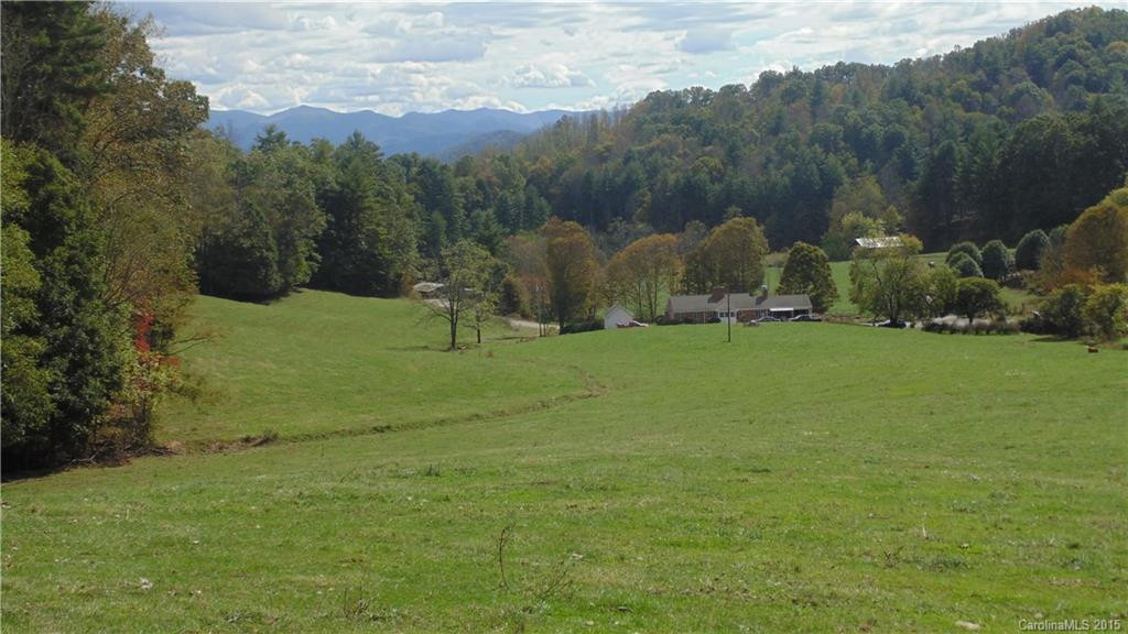 1094 Jarvis Branch Road #A, B - Photo 6