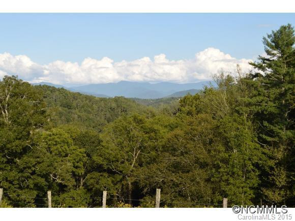 3250 Bend Of Ivy Road - Photo 3