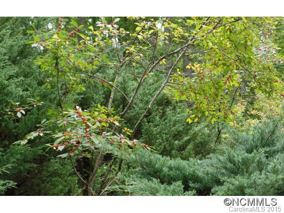 5 Mountain Laurel Lane - Photo 13