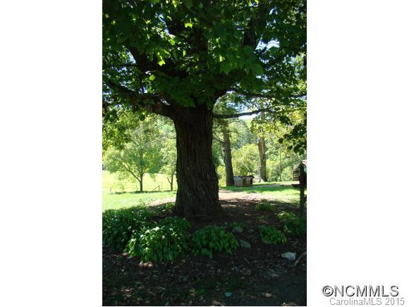 584 Wright Road - Photo 11