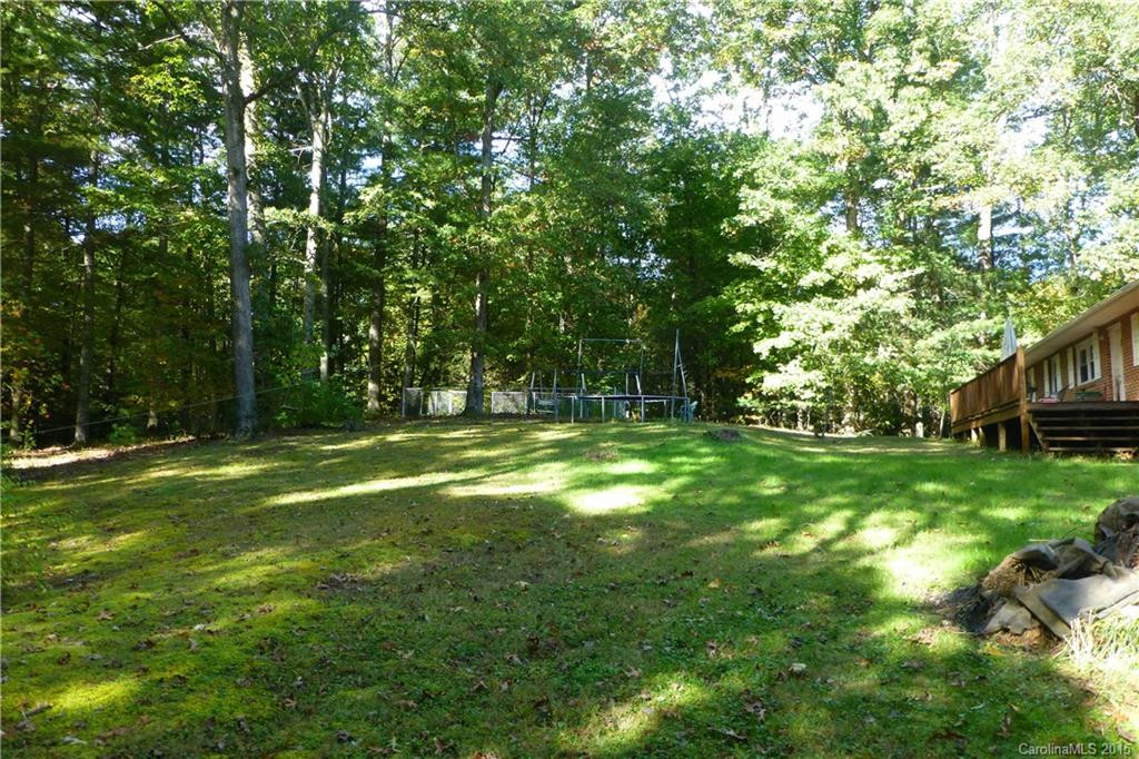2699 N. Mills River Road - Photo 3
