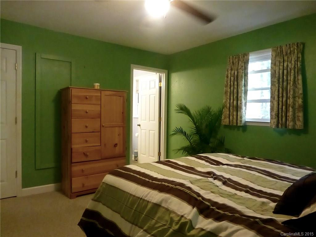 2699 N. Mills River Road - Photo 7