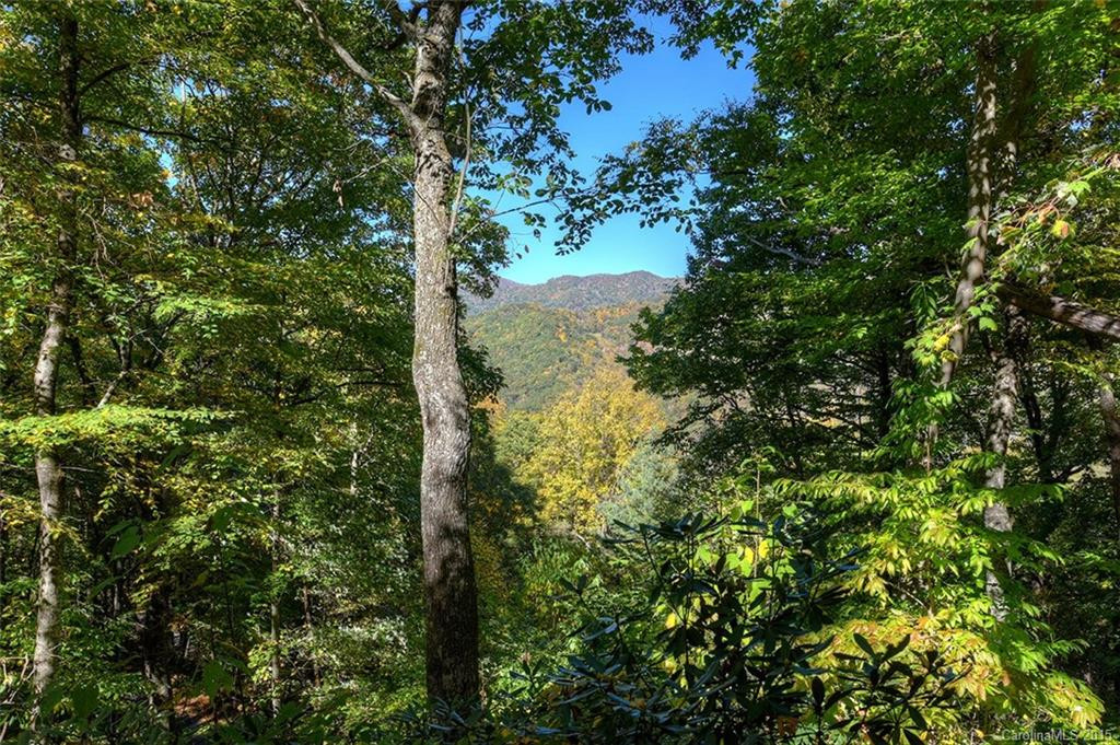 725 Forest Drive - Photo 24