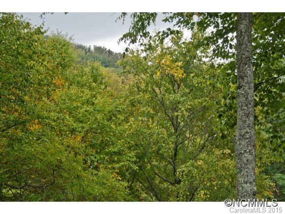 103 Hibiscus Lane - Photo 24