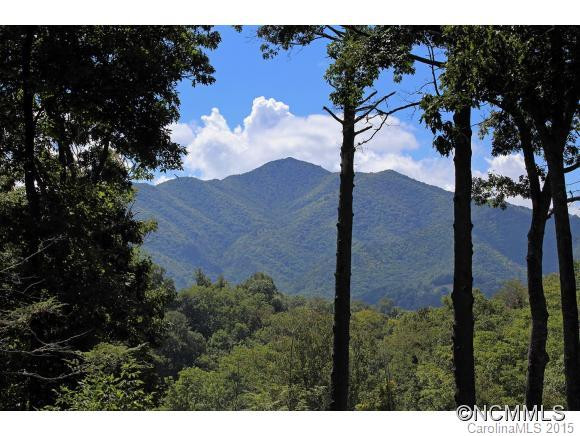 2066 Chinquapin Road - Photo 2