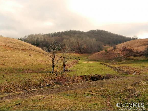 73 Langford Branch Road - Photo 11