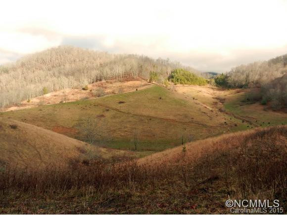 73 Langford Branch Road - Photo 13