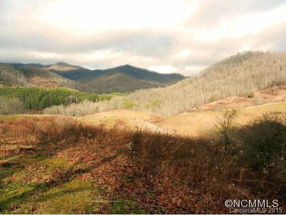 73 Langford Branch Road - Photo 14