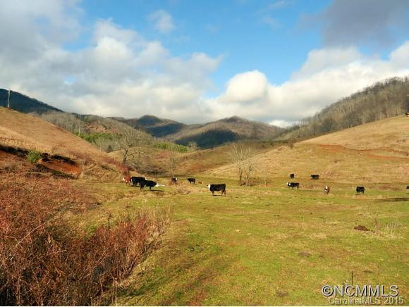 73 Langford Branch Road - Photo 24