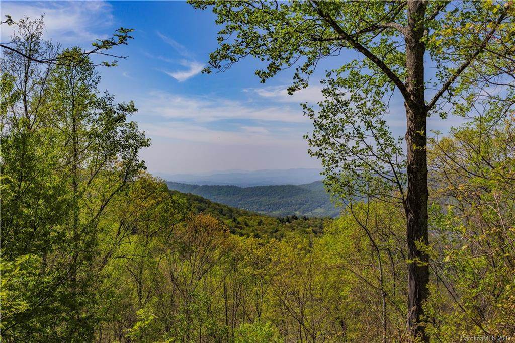 814 Elk Mountain Scenic Highway - Photo 2