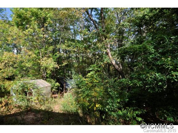 53 Middle Grassy Branch Road - Photo 12