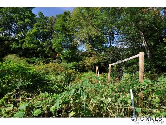 53 Middle Grassy Branch Road - Photo 13