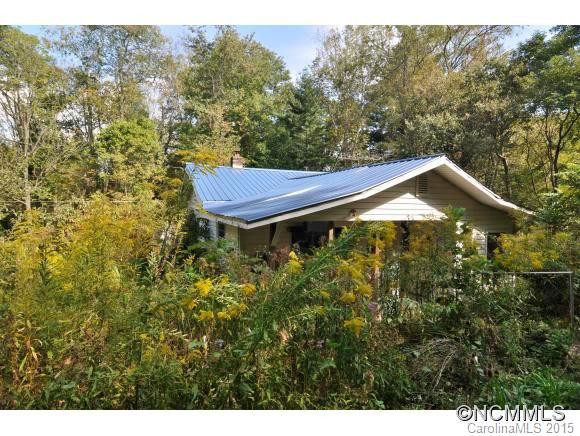 53 Middle Grassy Branch Road - Photo 14
