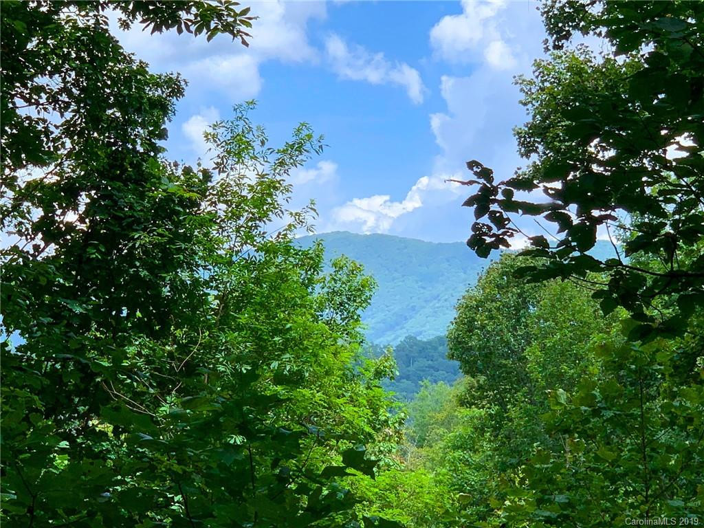 396 Chestnut Branch Road - Photo 5