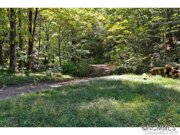 00 Wilkins Creek Road - Photo 3