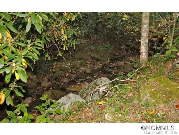 00 Wilkins Creek Road - Photo 4