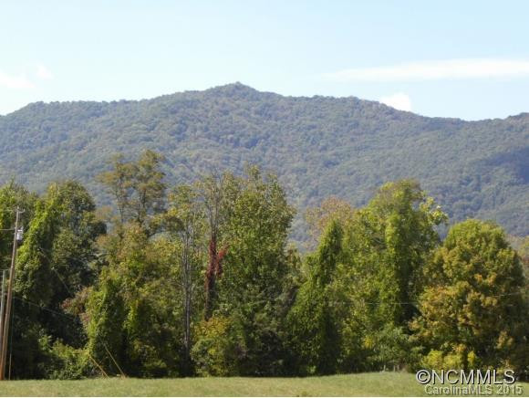 259 Max Thompson Road - Photo 4