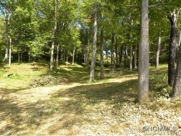 259 Max Thompson Road - Photo 9