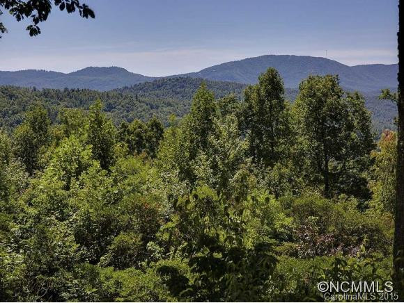 303 Piney Knoll Lane - Photo 17