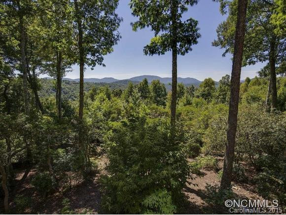 303 Piney Knoll Lane - Photo 18