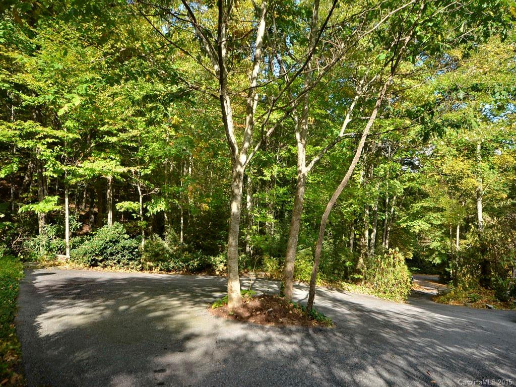 442 Ginseng Hollow Lane - Photo 13