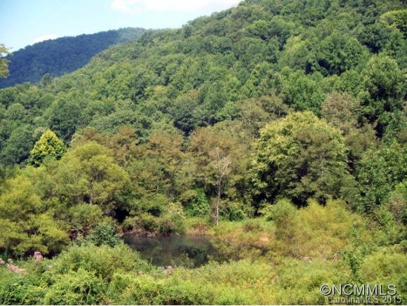 1491 Unahala Creek - Photo 24