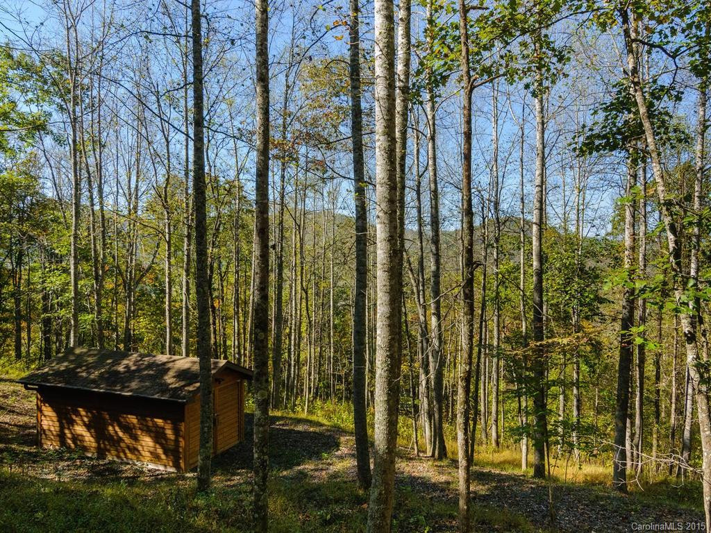 201 Wolf Run - Photo 7