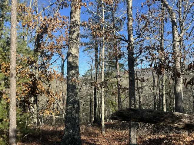 Lot 45 Black Diamond DR, New Castle, VA, 24127