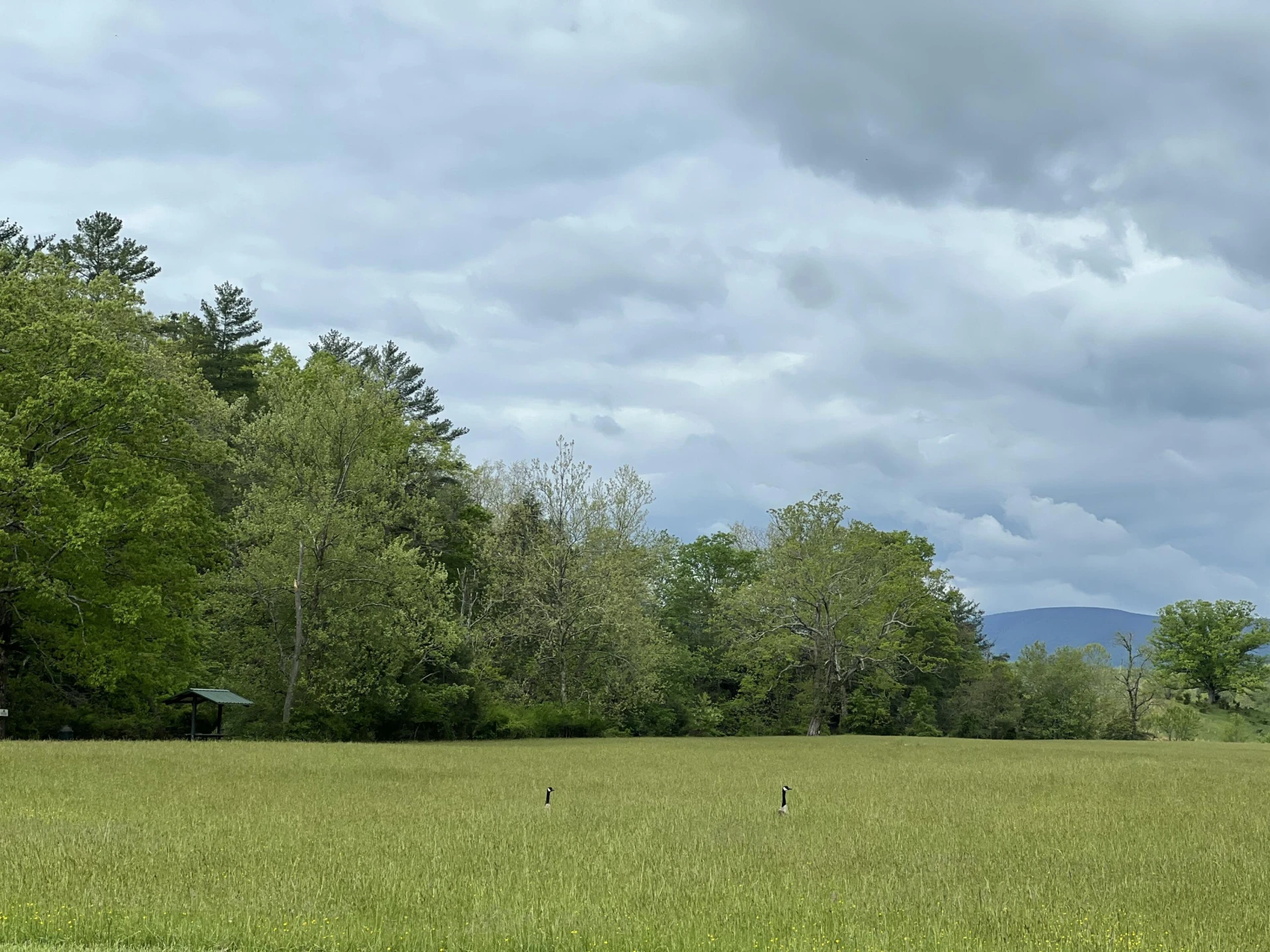 Lot 52 Black Diamond DR - Photo 14