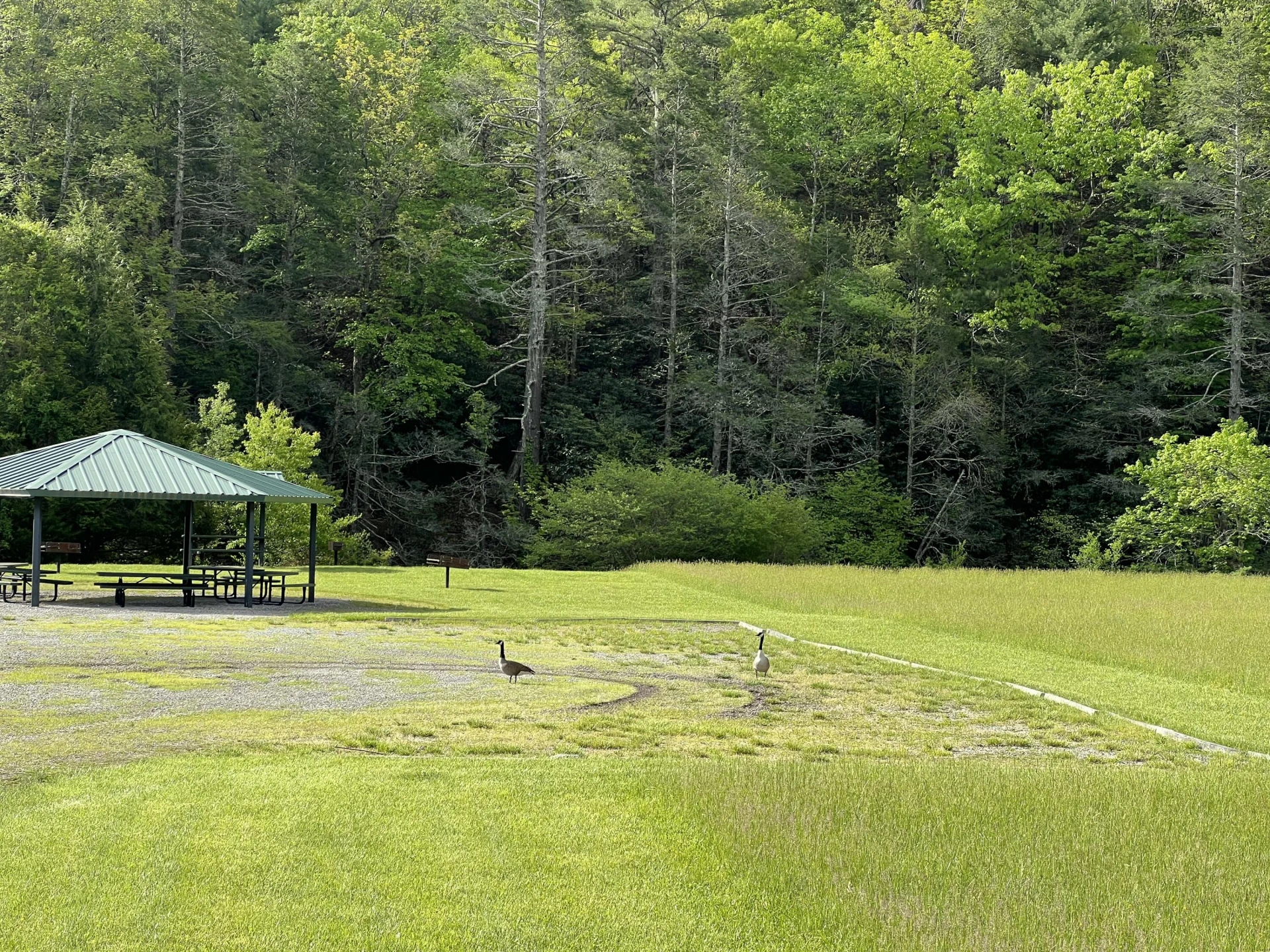 Lot 52 Black Diamond DR - Photo 8