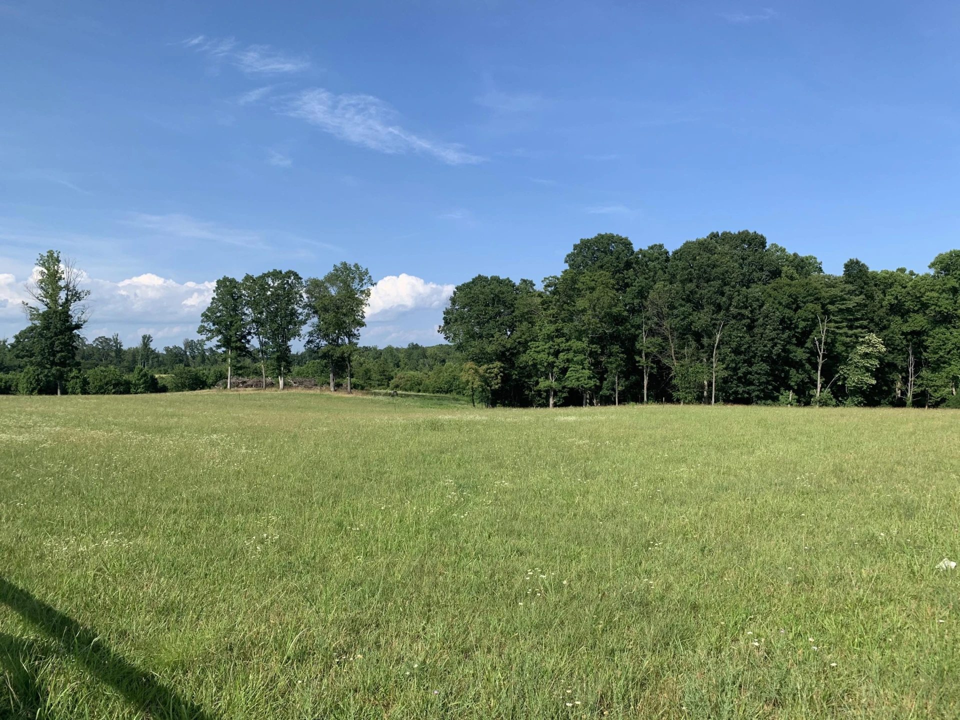 Lot 15 Old Franklin TPKE - Photo 5