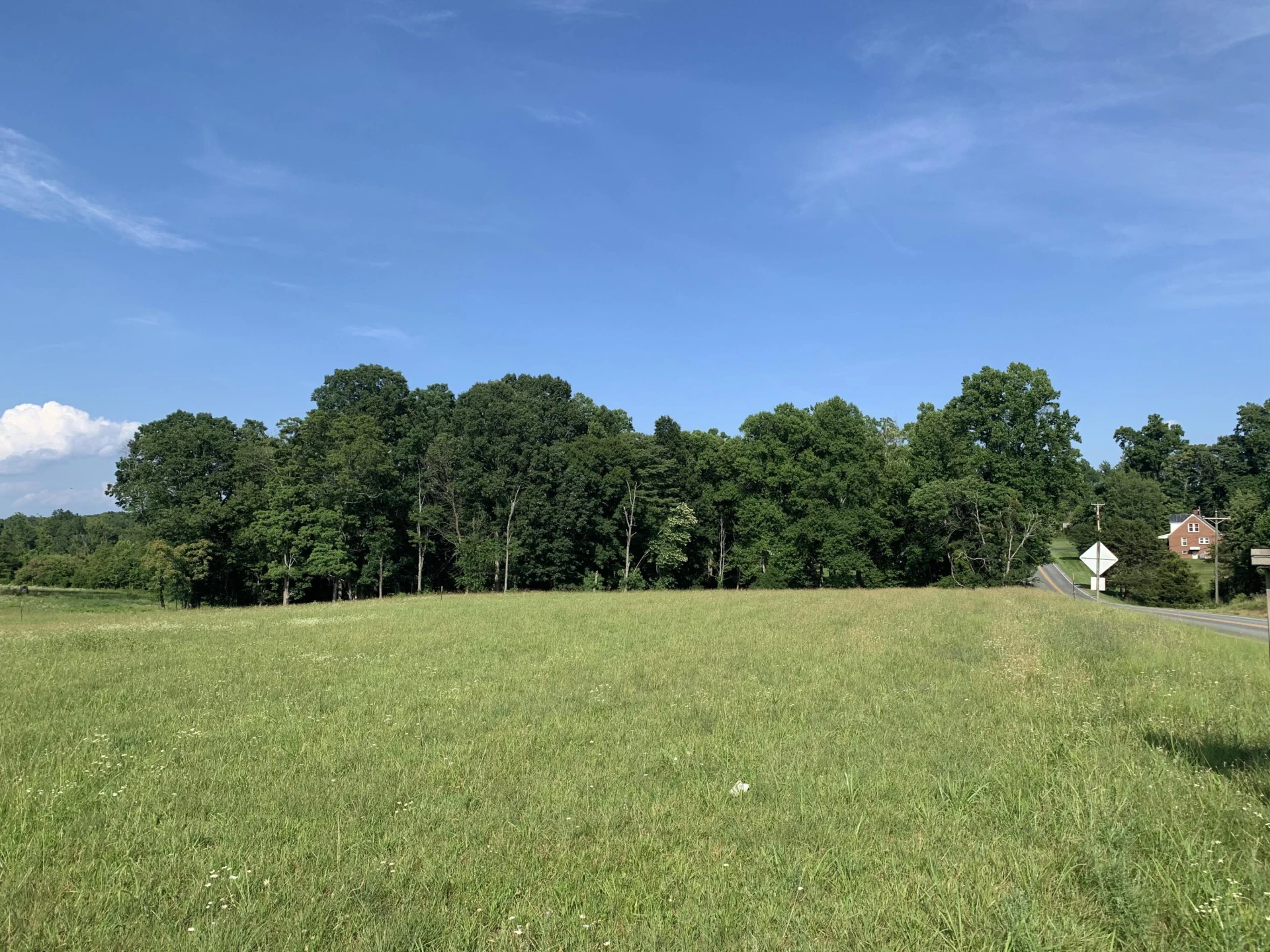 Lot 16 Old Franklin TPKE - Photo 4