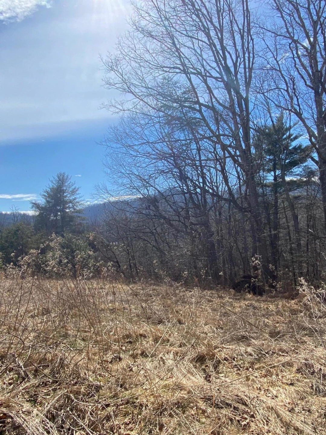 Lot 28 River Rock RD - Photo 2